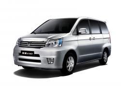 Great Wall Cowry (V80)