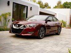 Nissan Maxima VIII (A36)